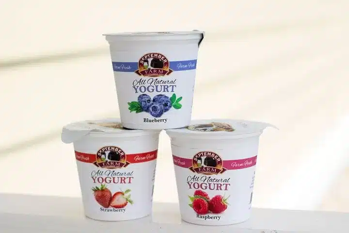 https://www.septemberfarmcheese.com/wp-content/uploads/Wholesale/wholesale-yogurt-for-sale.webp